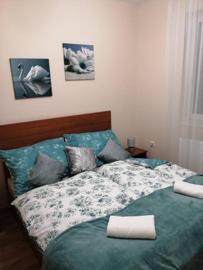 Olga Apartman سيغيد المظهر الخارجي الصورة